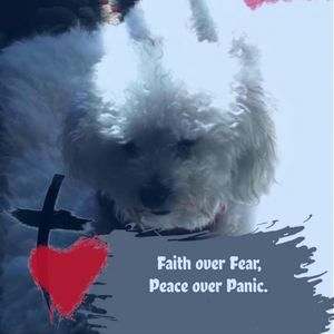 Meet your Posher, Norma